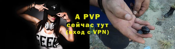 прущие крисы Осинники