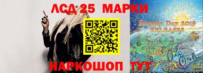 шишки Камышлов