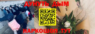 мяу мяу мука Аргун