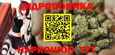 индика Ипатово
