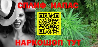 мяу мяу мука Аргун