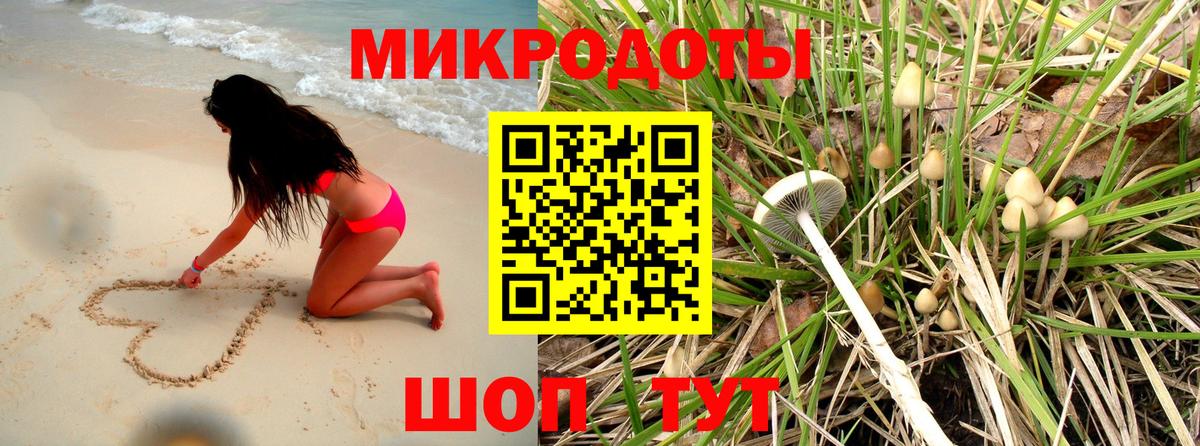 Галлюциногенные грибы прущие грибы  Псилоцибиновые грибы Psilocybine cubensis  купить наркотик  Сатка  Вход с VPN 